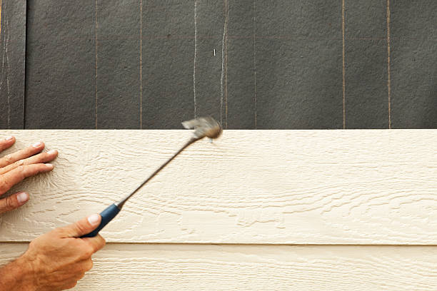 Best Siding Painting and Refinishing  in Durant, OK